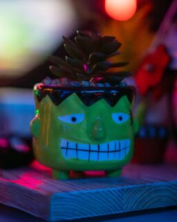 🎃 It-Club.Academy + Halloween + Minecraft + dobra ekipa = upiorny wieczór pełen emocji i zabawy 💥

Nasze sale już wcześniej nabrały klimatu – pajęczyny, nietoperze i mroczne światło wprowadziły wszystkich w halloweenowy nastrój 👻
Podczas gry każdy miał swoją rolę – jedni budowali, inni eksplorowali, planowali strategie lub wspierali drużynę.

Było dużo śmiechu, współpracy i rozmów, bo tylko takie wydarzenia tworzą klimat, którego nie da się podrobić ⚡

 #itclubacademy #it_club #Białystok